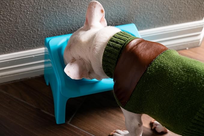 Fluff Trough Elevated Dog Bowl for Food | 5inch Tall Cat & Dog Feeding Station | Vet Approved Non-Toxic Silicone Feeder Bowl Insert | Raised Bowl for Medium and Small Dog/Pet with Flat Face