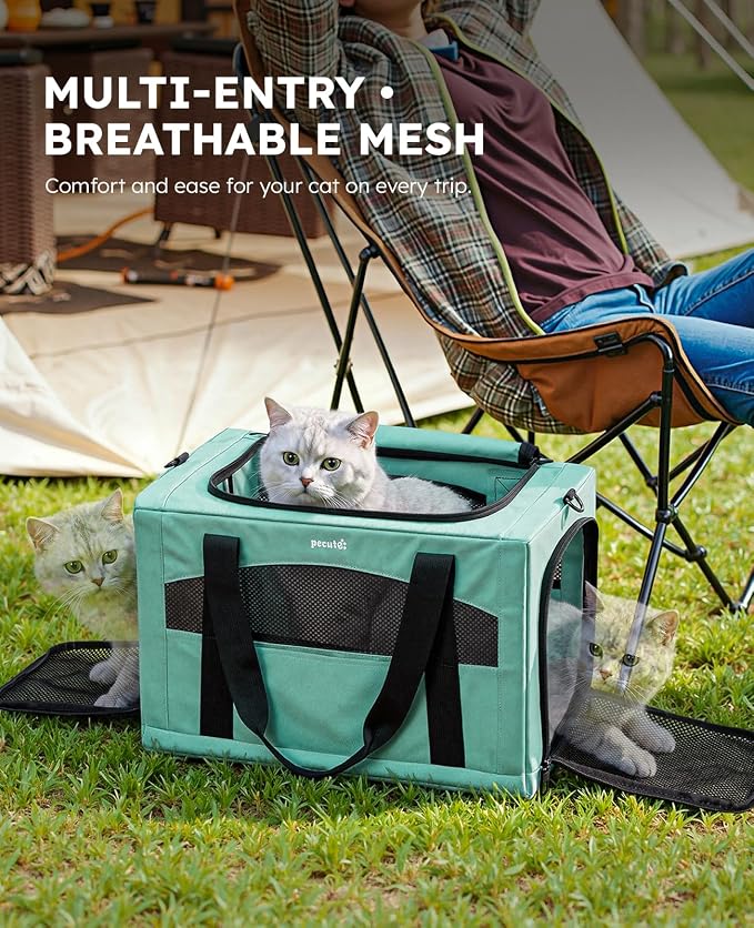 Pecute Cat Carrier Stable, Pet Carrier with Privacy Partition,Light Green | Safe For Car Travel, Stable Steel Frame, Soft-Sided Pet Carrier Bag For Dogs And Cats Up To 11lbs, Foldable Design.