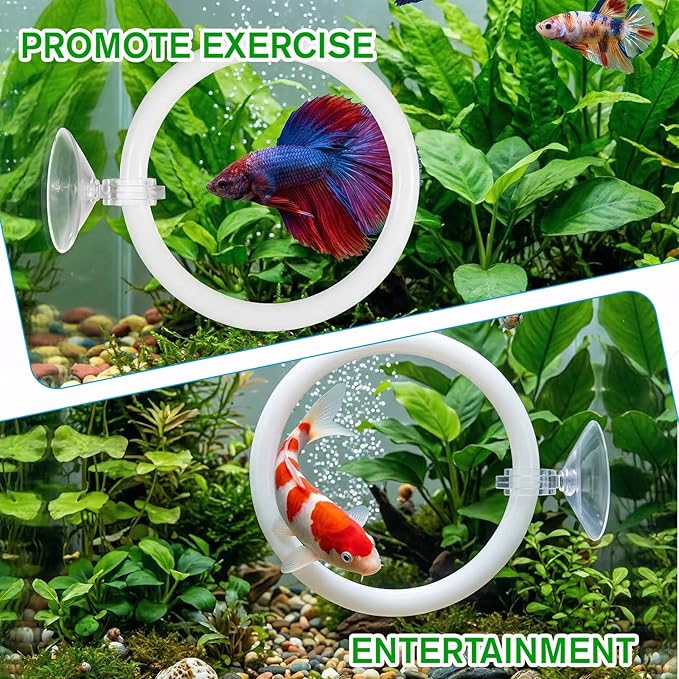 3Pcs Betta Fish Exercise Ring and Mirror Set 1 Mirror with Floating Ball 2 Exercise Training Rings Toy Betta Ring Enrichment Toys Floating Mirrors Balls Resting Spot Fishing Tank Accessories for Fish
