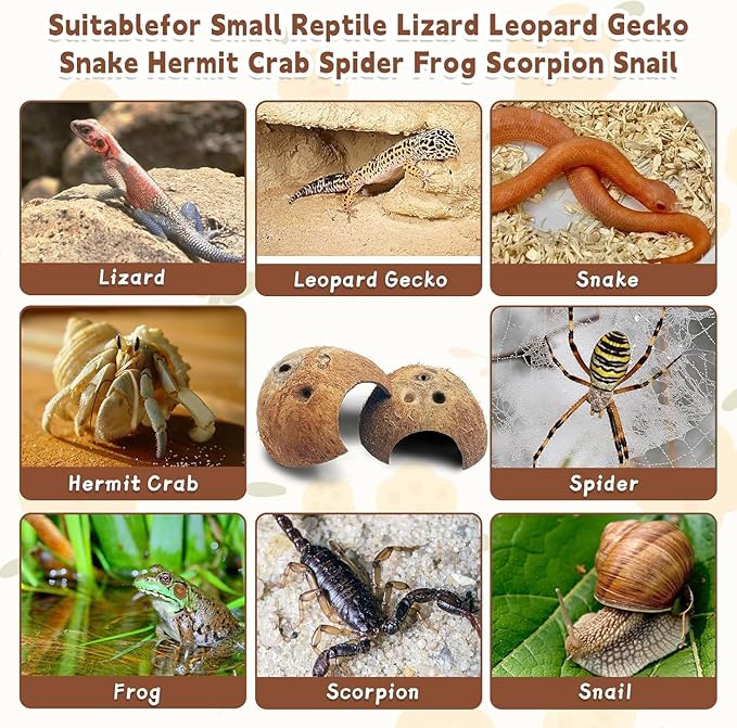 PINVNBY Natural Coconut Reptile Hideouts Lizard, Coco Hut Hermit Crab Hut Aquarium Fish Hide Cave for Small Reptile Crested Gecko Leopard Gecko Spider Snail Climber Toys (6 PCS Natural Surface)