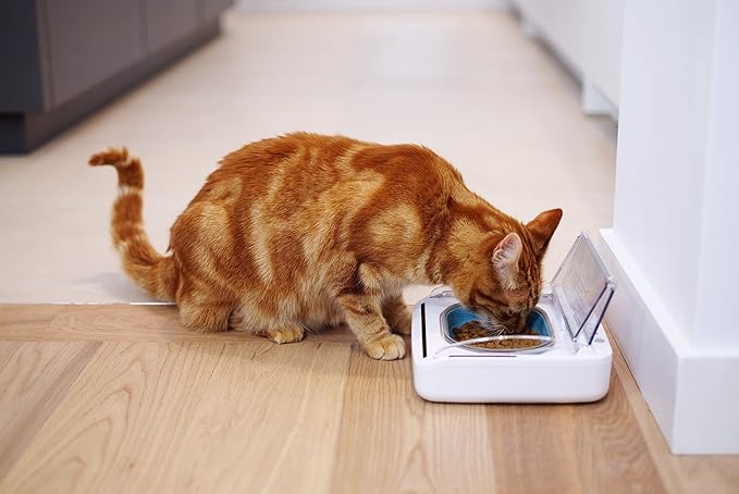 Sure Petcare - SureFeed - Motion Activated Sealed Pet Bowl - NOT Microchip Activated