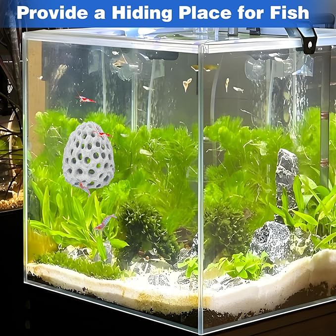 HINGTAI Shrimp Dome Hide Betta Habitat Fish Tank Tunnel with Suction Cup Aquarium Fish Cave Hideout Ornament Accessories for Shrimp Guppy Hiding Resting White