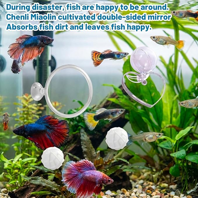 6PCS Betta Mirror, Betta Ring and Bettas Feeding Ring, Fish Enrichment Toys Set with Floating Mirror and Exercise Rings for Bettas Decor