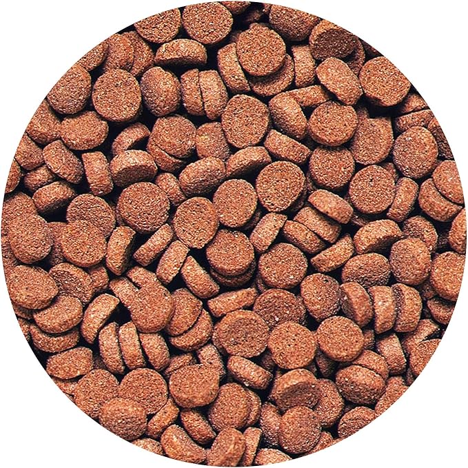 Hikari Sinking Carnivore Pellets for Pets, 2.61-Ounce