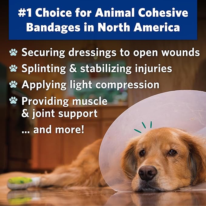 OVIK Health PetFlex No Chew – Flexible Self-Adhering Elastic Bandage for Wound Care – First Aid Wrap for Small Animals Like Dogs, Cats, and Other Pets - 2 inch, 36 Rolls
