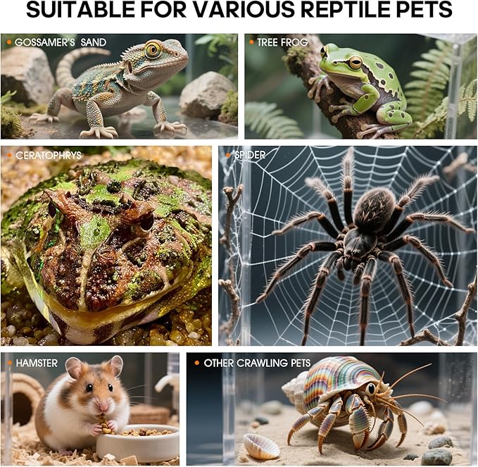 MYGIIKAKA Jumping Spider Enclosure Accessories, Tarantula Spider Box, Bug Cage, Praying Mantis Habitat Enclosure, Snail Insect Terrarium, Caterpillar Habitat (6x6x12 inch)
