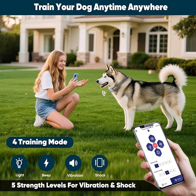 GPS Electric Dog Fence with Free App, Wireless Fence System with Training Collar, Adjustable of Dogs Portable Fence for Outdoor Use, Rechargeable Waterproof Flexiable Collar, (Grey)