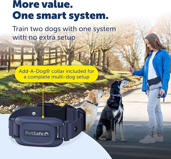 PetSafe Pro Dog Trainer with Remote and Add-A-Dog Collar Waterproof Training Collar 1000 ft Range Tone, Vibration and 19 Levels of Static Sleek, Low-Profile Design