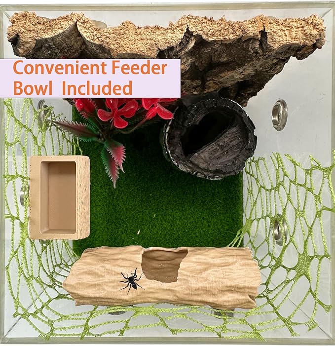 6Pcs Jumping Spider Accessories Set,Tree Jumping Spider Climbing Toy with Cave, Jumping Spider Feeder,2 Wooden Platforms and 2 Green Moss Ribbons,Small Reptile Enclosure Decoration Accessories