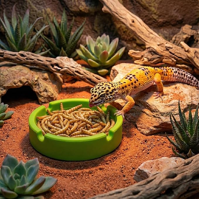 2-Pack Silicone Reptile Food and Water Bowl, Crested Gecko Tank Accessories, Eudimysx Soft Unbreakable Dish for Leopard Gecko & Hermit Crab, Shallow Low Profile & Easy to Clean (Yellow & Green)