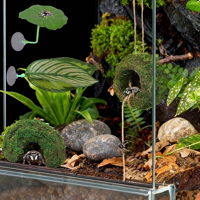 Big Jumping Spider Hide Kit, Jumping Spider Enclosures Habitat Accessories, Climbing Spiders Resting Hideout with Suction Cup Rope Bridge Leaf Ledge for Tarantula Small Insects