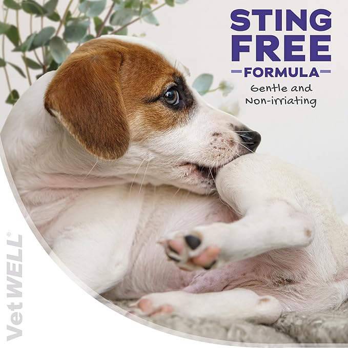 VetWELL Hydrocortisone Spray for Dogs & Cats - Itchy Skin Relief from Hot Spots, Bites, Scrapes, Irritated Skin, & Dermatitis - 4 oz Anti Itch Spray with Pramoxine