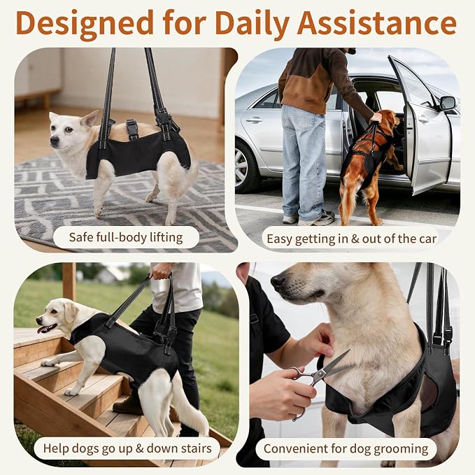Full Body Dog Lift Harness, Support Senior & Disabled Dogs Walking | Help Up & Down Stairs Grooming, Dog Sling Backpack, Front Hind Leg Joint Injuries, Reflective, Soft Padded Handle | Black, M