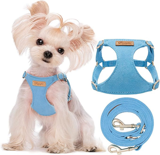 Puppytie Dog Harness with Multifunction Dog Leash,Soft Adjustable No Choke Escape Proof Pet Harness Vest,Ocean Blue,XXS