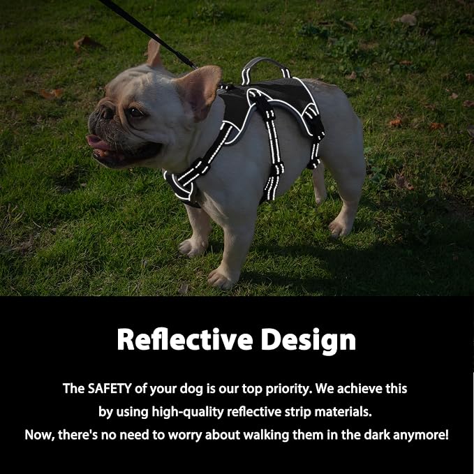 Escape Proof Dog Harness, Dachshund Harness, Reflective Dog Harness with Handle, Durable,Adjustable Vest for Small Medium Large Dogs Walking, Training, and Running Gear (Black,M)