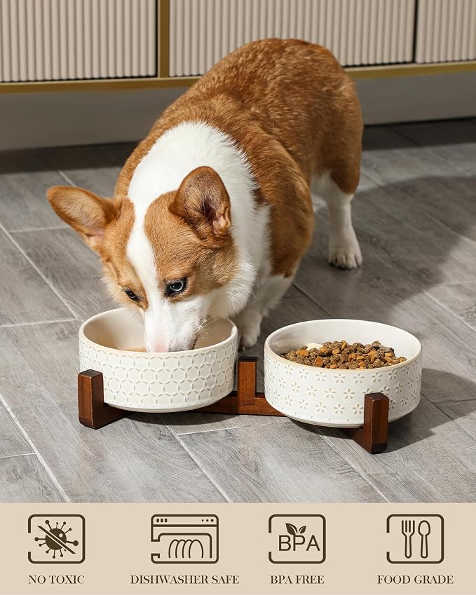 MALACASA Dog Bowl Set, Ceramic Bowls with Walnut Wood Stand, 3.5 Cups | Five-Leaf Grass and Honeycomb Design, Non-Slip Base, for Cats and Dogs, About 26% Heavier than Similar Ceramic Bowls
