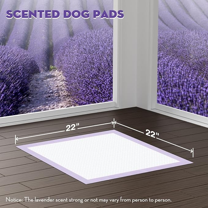CROCI Puppy Pads with Adhesive Tabs Attractant Lavender Scent 22x22in 50Ct | Super Absorbent Pee Pads for Small Dogs Holds Up to 3 Cups of Urine, 6-Layers, Quick-Dry Surface, Leak-Proof, Disposable