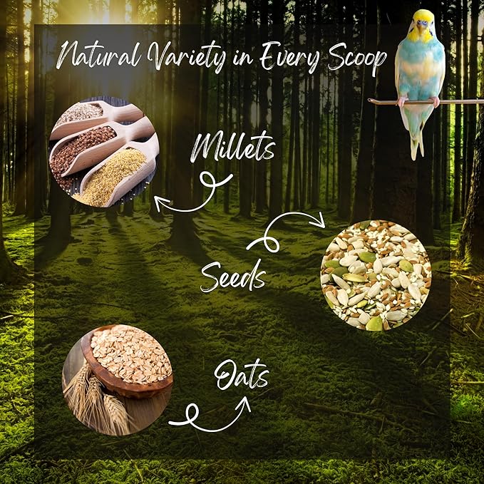 Danodia's Zoolulu Premium Budgies & Finches Millet Mix (450g /1 lbs) | Premium Bird Seed Blend for Budgies, Finches & Canaries | Daily Healthy Nutrition