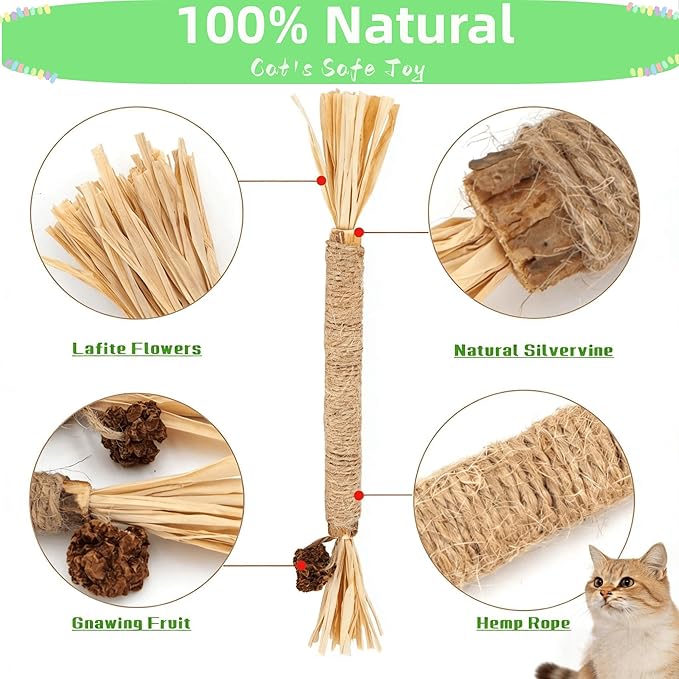9PCS-Cat Chew Toy, Cat Toys for Indoor Cats with Silvervine Sticks, Safe Teeth Cleaning Chew Toys (Model 1)