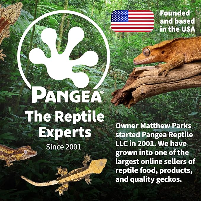 Pangea Ultimate Eco Dish, Crested Gecko Food and Water Bowl for Terrestrial Lizards, Durable Silicone Feeding Accessory for Reptile Terrariums 3.125in x 5.5in (Grey Marble)