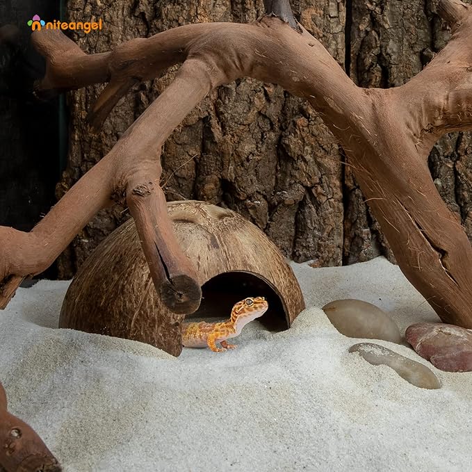 2 Pack Natural Coconut Reptile Hideouts, Lizard, Spider and Aquarium Fish Hide Cave (Smooth Surface)