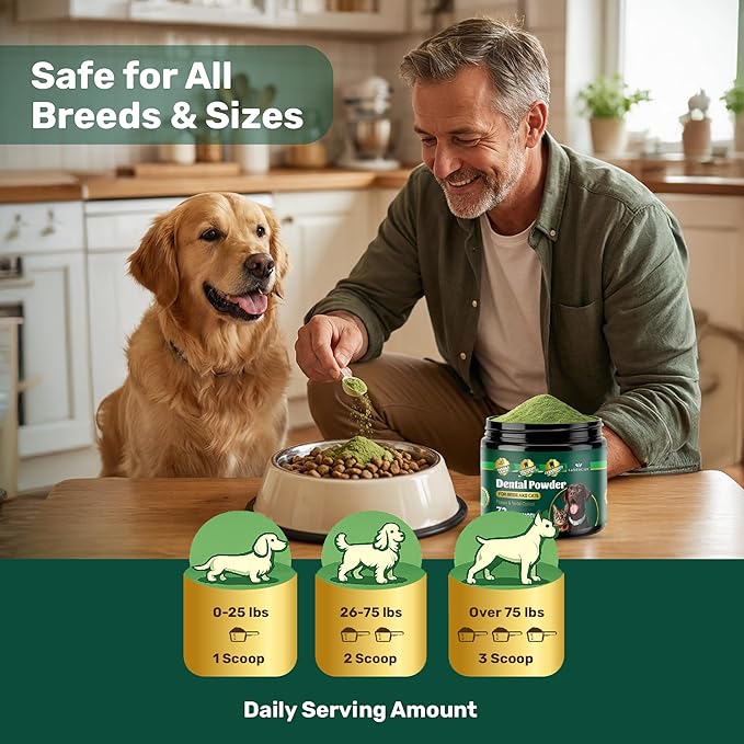 Probiotic Dog Dental Powder - Plaque Off Powder - Dog Teeth Natural Cleaning Powder - Dogs Breath Freshener - Enzymes & Probiotic with Tartar and Plaque Off - Pets Tooth Cleaning- 150g/5.3 oz