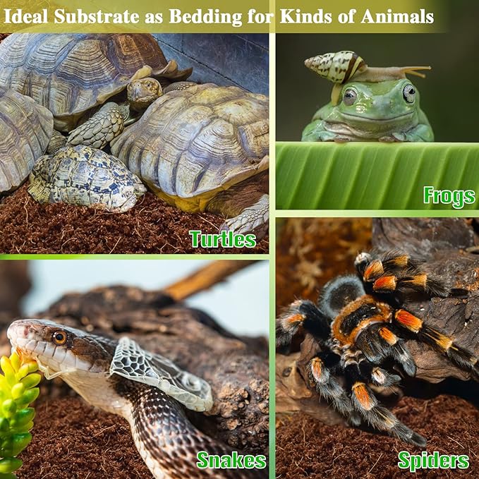 ZeeDix 1 Pack Coconut Fiber Substrate, 100% Organic Coconut Husk Coco Coir Brick Terrarium Bedding for Reptiles, Tortoise, Bearded Dragon, Leopard Gecko, Snake, Hermit Crabs, Frogs, Tarantula