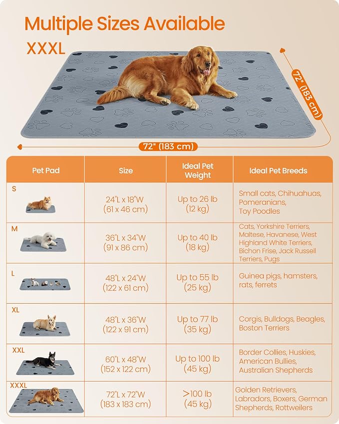 Feandrea Washable Pee Pads for Dogs, Waterproof, 72 x 72 Inches, 1 Pack | Reusable Pet Training Pads for Cats, Rabbits, XL, Leakproof, Non-Slip, Super Absorbent, Gray, ISLAND Collection UPTD072G01