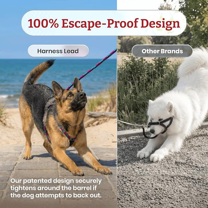 Harness Lead No Pull Dog Harness and Leash Set, Anti Pull Dog Harness for All Breeds and Sizes, One-Piece Cushioned Rope Design Safely Prevents Escaping and Pulling (Medium/Large, Pink)