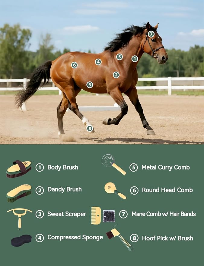 Horse Grooming Kit, 9 Piece Grooming Brush Set with Silicone Curry Comb for Bathing & Shedding Pasture Glow