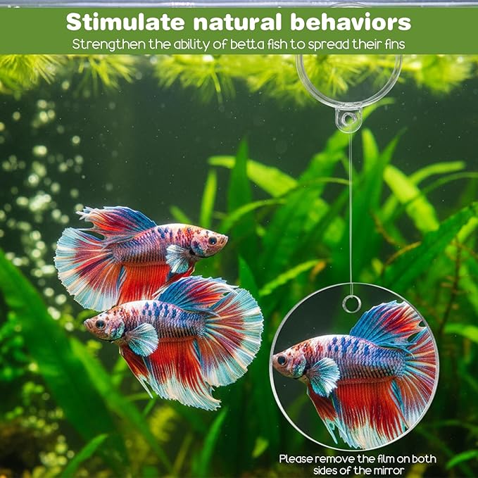 Molain Betta Fish Enrichment Toys, Betta Fish Tank Accessories 2 Training Rings 1 Mirror with Floating Ball Plastic Aquarium Enrichment Toys Set for Fishes Exercise Mental Stimulation
