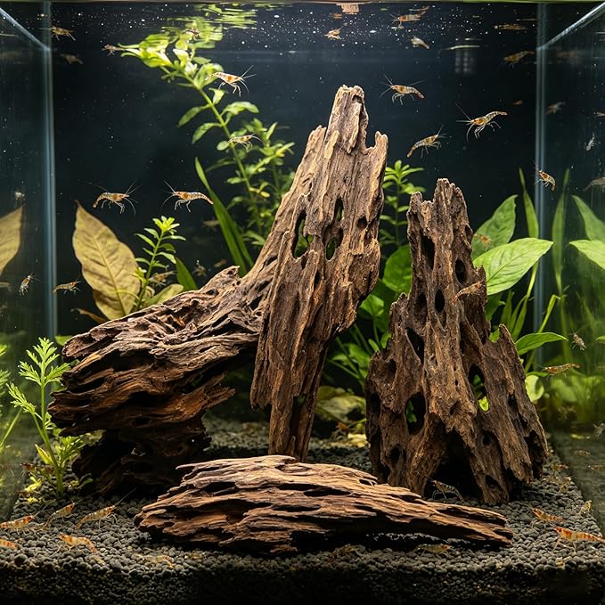 3 PCS Large Natural Honeycomb Wood 8-12", Porous Aquarium Driftwood, Cholla Wood Shrimp Shelter Breeding Cave, Shrimp Dragon Wood for Fish Tank, Aquascaping, Reptile, Terrarium Decor