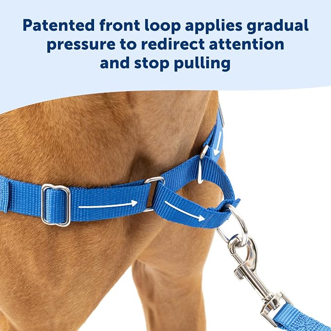PetSafe Easy Walk Harness for Dogs - Pull-Free Walks - Patented Martingale LoopDesign-Front Chest Leash Attachment - Comfort Straps-Breathable Harness Design-Small,Charcoal/Black (Pack of 3)