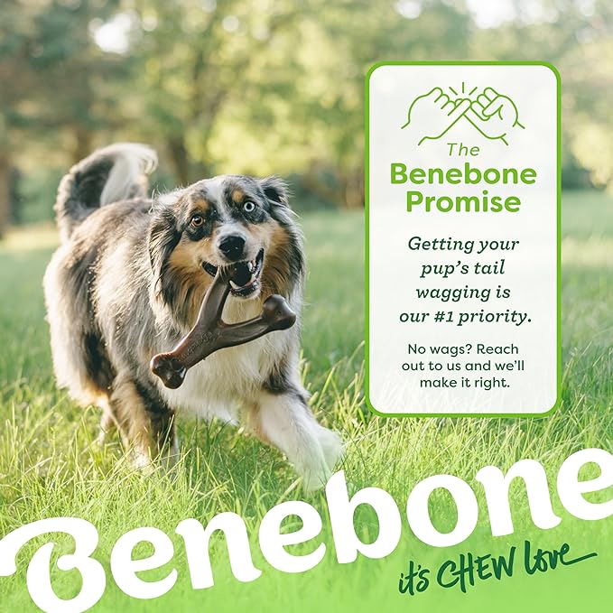 Small 3-Pack, Benebone Wishbone Durable Dog Chew Toy for Aggressive Chewers, Real Bacon, Chicken, Peanut Butter, Made in USA, Variety Pack