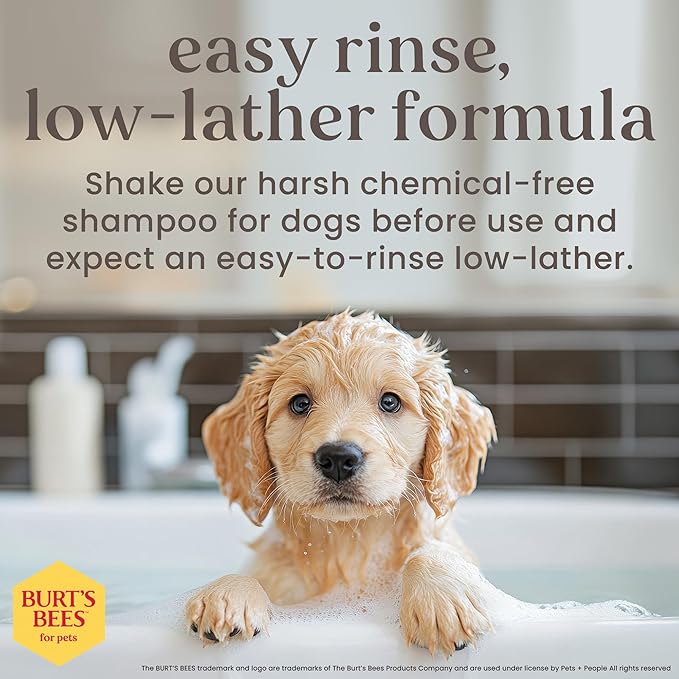 Burt’s Bees for Pets Tear Free Puppy Shampoo & Conditioner with Buttermilk, 2 in 1 Gentle Dog Shampoo for Puppies, Cleans and Conditions Sensitive Skin, 16 Fl Oz - 6 Pack