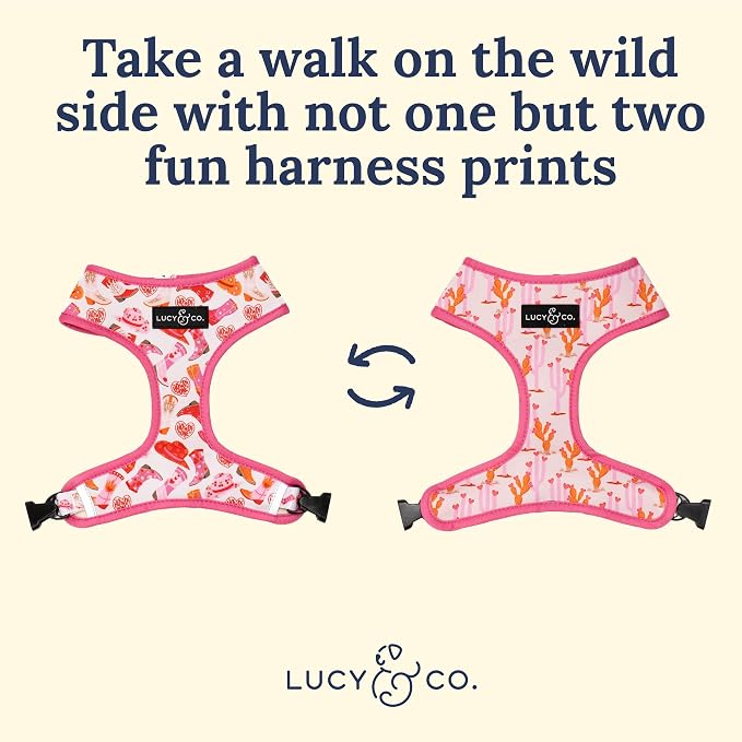 Lucy & Co. Reversible Dog Harness - Water-Repellent Neoprene, Dual-Print Design, Easy Swap Style, Adjustable Comfort Fit - Howdy Honey Reversible Harness - Large