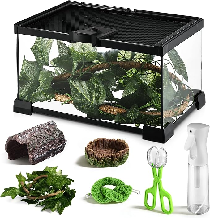 Reptile Terrarium Glass Kit 12" x 8" x 6" Starter Habitat for Tarantula, Succulents, Frogs, or Hermit Crabs, Tank with Escape-Proof Locking Lid