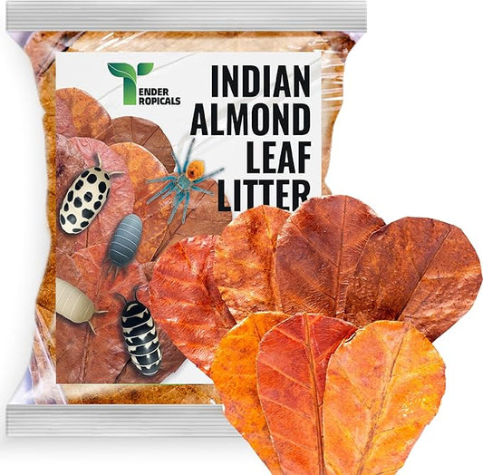Leaf Litter for Isopods Vivarium Indian Almond Leaves , Tarantulas, Spiders, Crickets Millipedes & Reptiles – 80pcs Natural 4" Dried Catappa Leaves for Bioactive Terrariums,Aquariums & Habitat