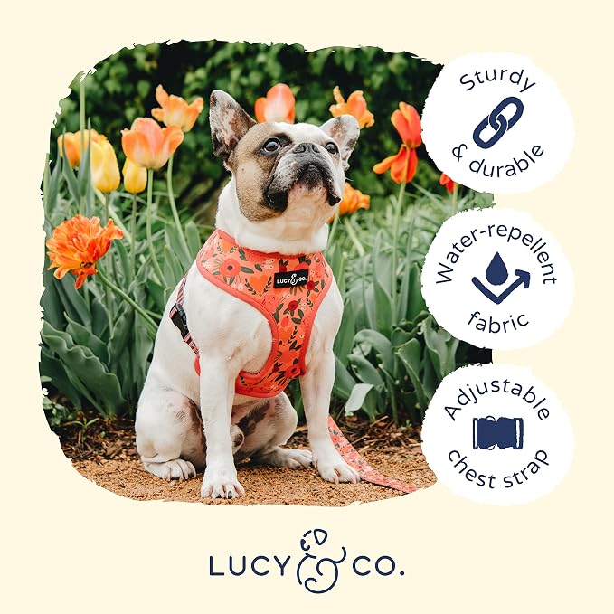 Lucy & Co. Reversible Dog Harness - Water-Repellent Neoprene, Dual-Print Design, Easy Swap Style, Adjustable Comfort Fit - Posy Pink Reversible Harness - X-Large
