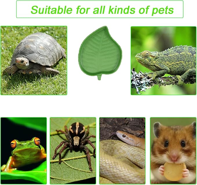 3PCS Tortoise Dish with Ramp Leaf - Tortoise Food & Water Bowls - Reptile Habitat Accessories for Horned Frogs & Lizards - Fit for Bath