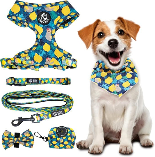 No Pull Harness and Leash Set - 6-in-1 Adjustable Vest Harness and Collars for Medium and Large Dogs. (Lemon, Extra Small)