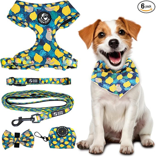 No Pull Harness and Leash Set - 6-in-1 Adjustable Vest Harness and Collars for Medium and Large Dogs. (Lemon, Large)