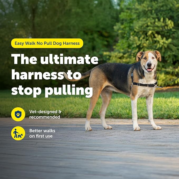 PetSafe Easy Walk Harness, No Pull Dog Harness, Black, Extra Large | Patented Martingale Loop Gives Gradual Shoulder Pressure to Stop Pulling, Front-Chest Leash Clip Prevents Gagging