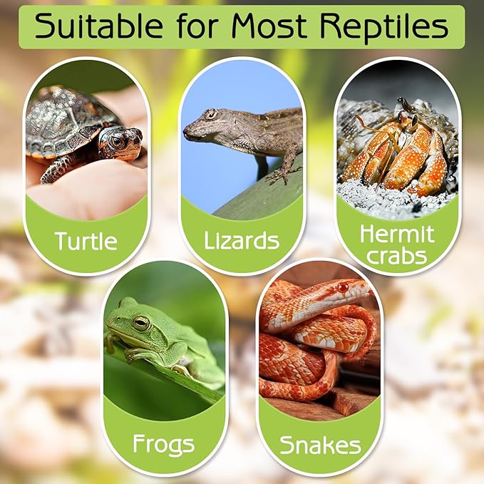 kathson Tortoise Water Dish with Ramp and Basking Platform, Reptile Water Bowl Turtle Soaking Tub Hermit Crab Bathing Pool for Amphibians Habitat Accessories (White)