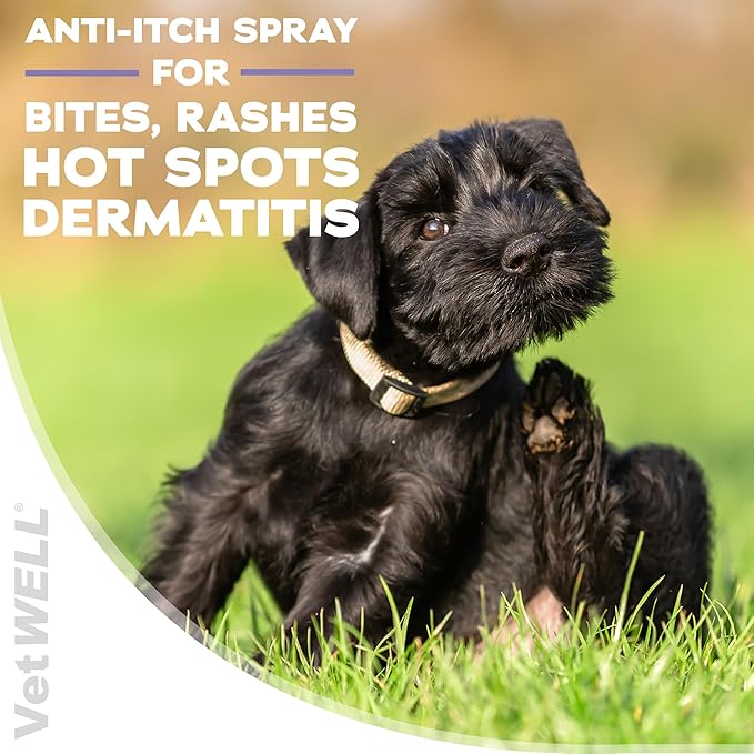 VetWELL Hydrocortisone Spray for Dogs & Cats - Itchy Skin Relief from Hot Spots, Bites, Scrapes, Irritated Skin, & Dermatitis - 4 oz Anti Itch Spray with Pramoxine