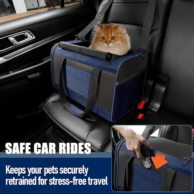 GAPZER Large Cat Carrier Soft, Collapsible Travel Pet Carry Bag, Small Dogs | Large Cats up to 20 lbs+ Maine Coon, Top Load Transport Small Puppy Dog Crate, Chihuahua Mini Dog 10lbs, Sturdy Fabric Navy