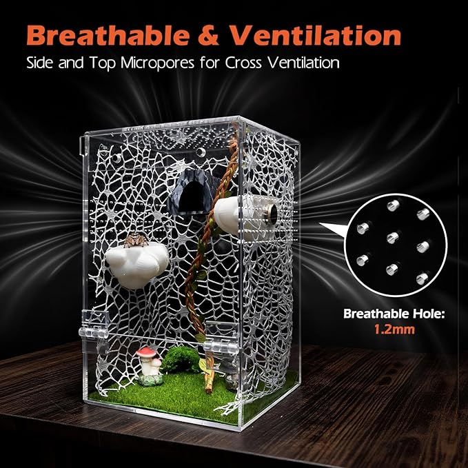 AZV Large Jumping Spider Enclosure Clouds Kit,Escape Proof Praying Mantis Habitat,Magnetic Front Door Tarantula Cribs Ventilation Spider Cage,Transparent Acrylic Reptile Tank,Bug Terrarium,Snail House