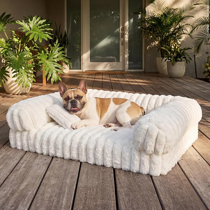Cat Couch, Orthopedic Pet Bed, Washable Medium Pet Sofa Bed for Puppy and Small to Large Kitten with Anti-Slip Bottom, Fits Up to 65lbs Pets Cat Beds Self Warming