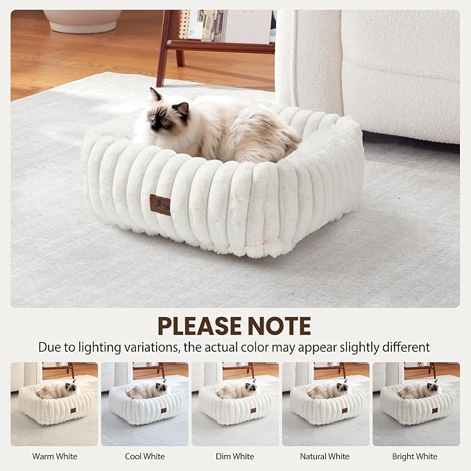 Cute Dog Bed for Small Dogs & Cats,Washable Fluffy Cat Beds for Indoor Cats, Rectangle Orthopedic Memory Foam Puppy Beds with Anti-Slip Bottom, 20 x19 x 7 Inches, Cream(20x19x6inchs)