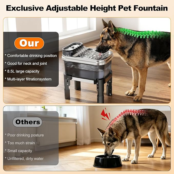 RPZ 9L Elevated Stainless Steel Dog Water Fountain with Filter | 4-level adjustable indoor pet water fountain with quiet pump and no-spill design for small, medium, and large dogs